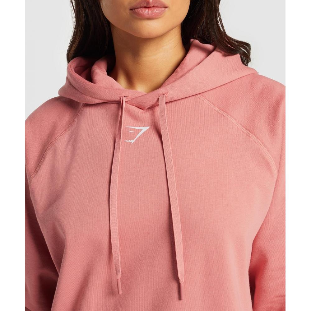 Gymshark Fraction Hoodie Classic Pink B3c9i Kb02