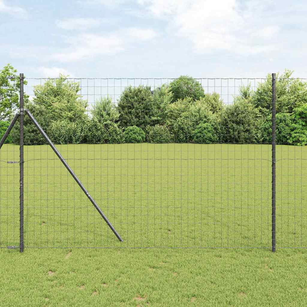 Euro Fence Black 1.6 x 10 m PVC coated iron