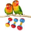 Bird Ball Toys with Sound Bell Colorful Plastics Suitable for Parrot Macaw Eclectus African Greys Cockatoo