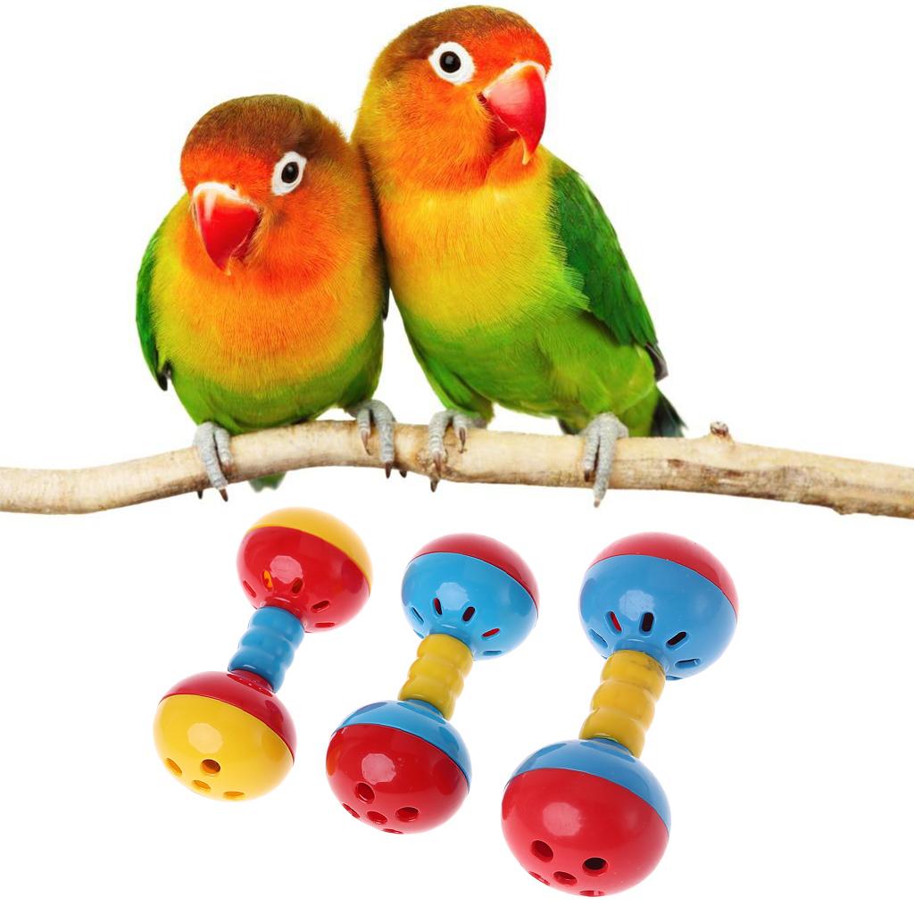 Bird Ball Toys with Sound Bell Colorful Plastics Suitable for Parrot Macaw Eclectus African Greys Cockatoo