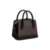 Coach Андреа 15 Золотой Логотип Классическая Монограмма Сумка-тоут из Покрытого Холста и Гладкой Кожи Сумка для Покупок Ручная Сумка Через Плечо Мини CO975-IMAA8