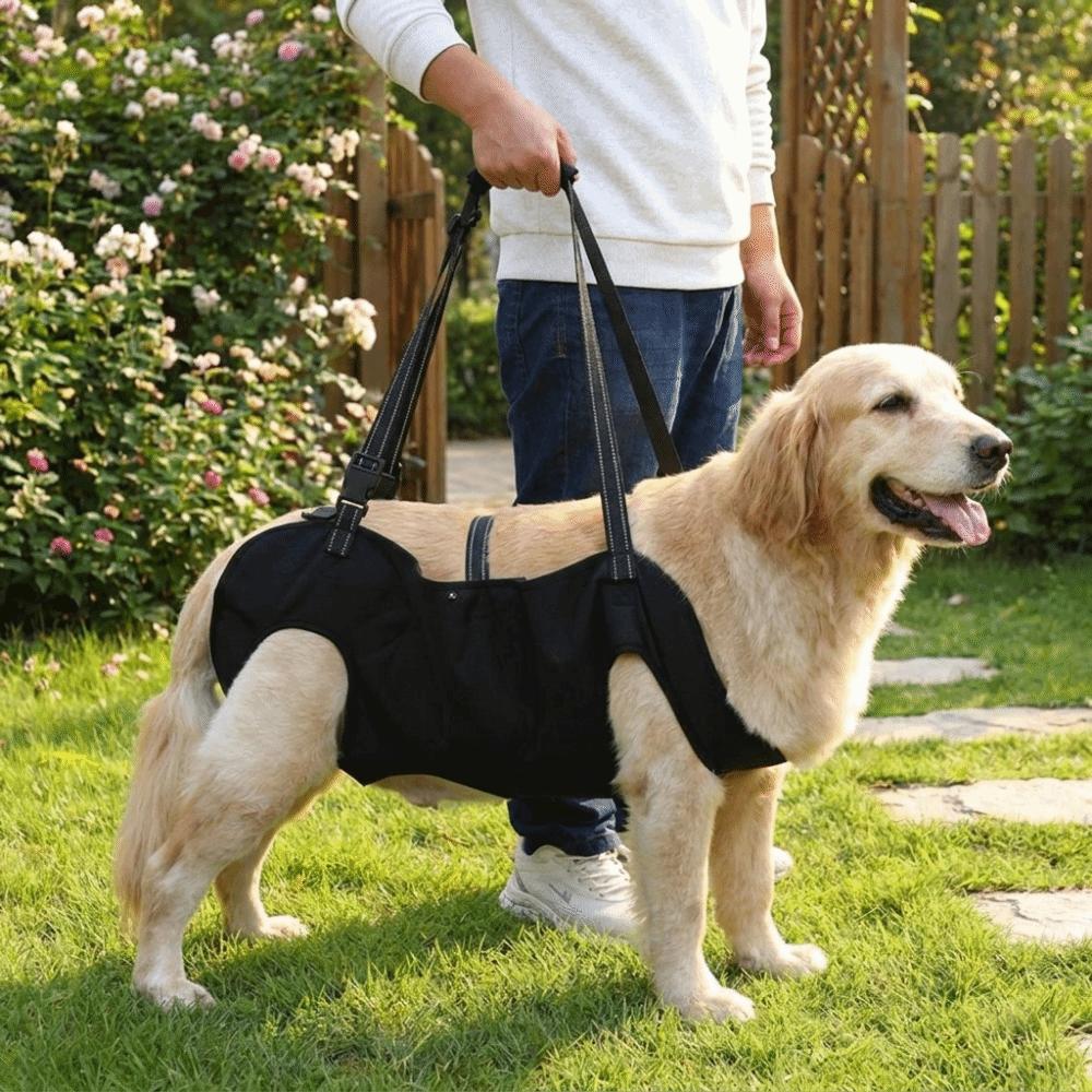 Thickened Grip Dog Lift Harness Adjustable Pet Auxiliary Vest Dog Assistance Strap Disability Aid