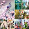 DIY Peacock 5D Diamond Painting Full Square/Round Drill Mosaic Diamont Embroidery Animal Cross Stitch Home Decor Christmas Gift