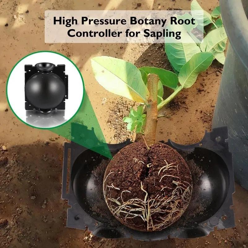 30/5pcs Plant Rooting Balls Grafting Rooting Box High Pressure Breeding Case Plant Root Growing Boxes for Garden Propagation