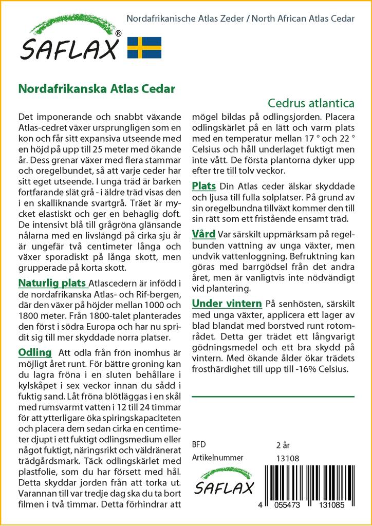 SAFLAX Североафриканский атласский кедр - 20 семян - Cedrus atlantica