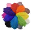 10Pcs/Lot 25-30Cm Ostrich Feathers For Crafts Party Decoration Jewelry Creation Natural Feather For Needlework And Handicrafts