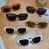 Vintage Cat Eye Sunglasses for Men Women Small Metal Chain Sunglasses Eyeglasses Shades