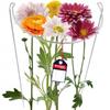KADAX Flower Support With Eyelet Plant Clip 50 Cm