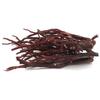 Donguihanjae Top Quality Borage Root, 300g, 1 Piece