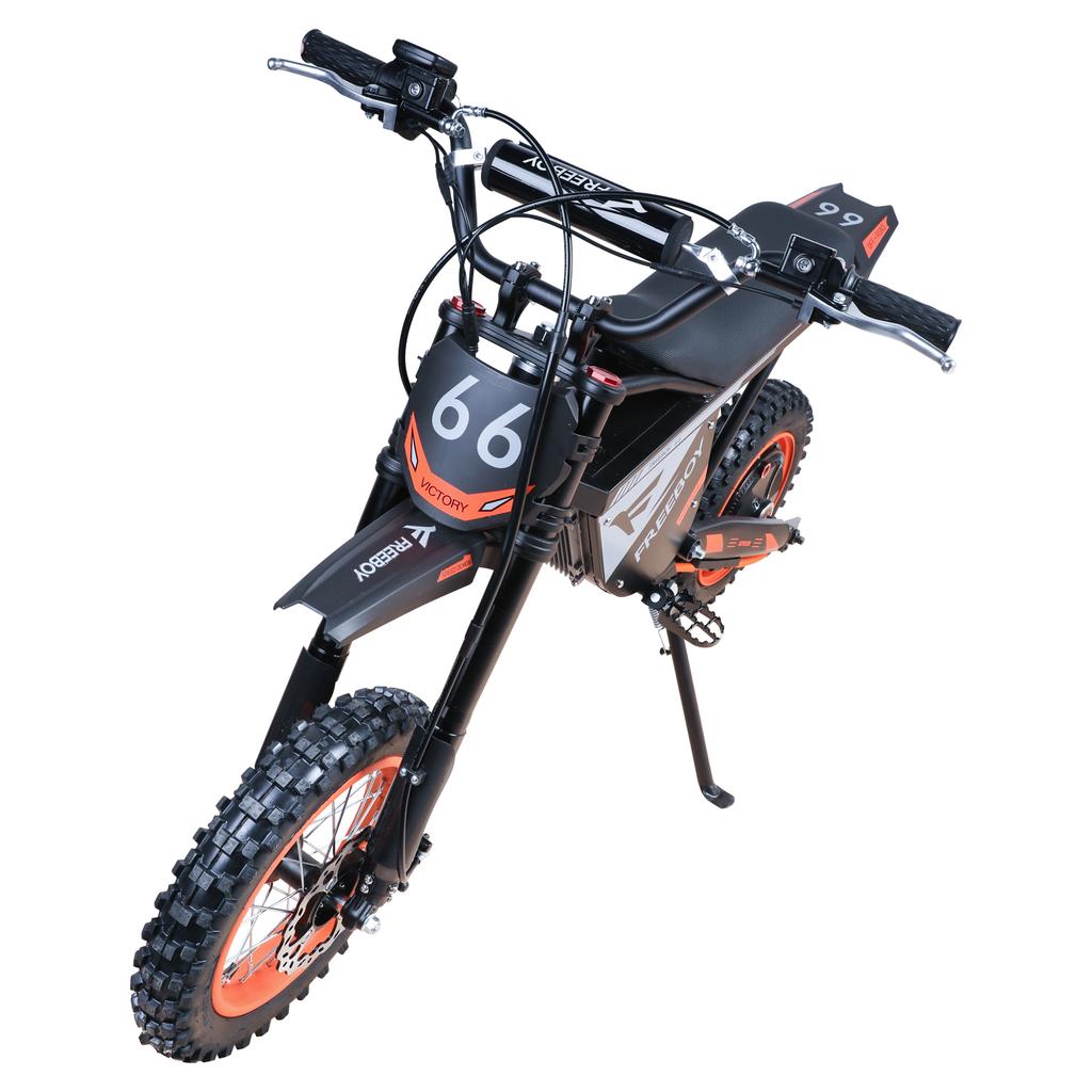 Freeboy US EU Warehouse Long Range Electric Dirt Bike Hydraulic Disc Brake 48V 30Ah Battery 12 Inch Off-road Tire for Adults