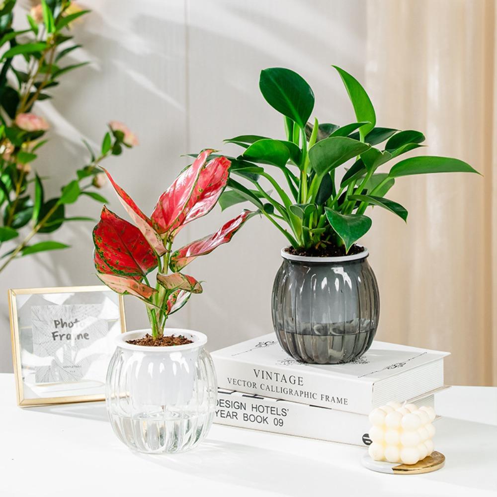 Пластиковый влагопоглощающий цветочный горшок, прозрачный, автоматический полив, садовый декор