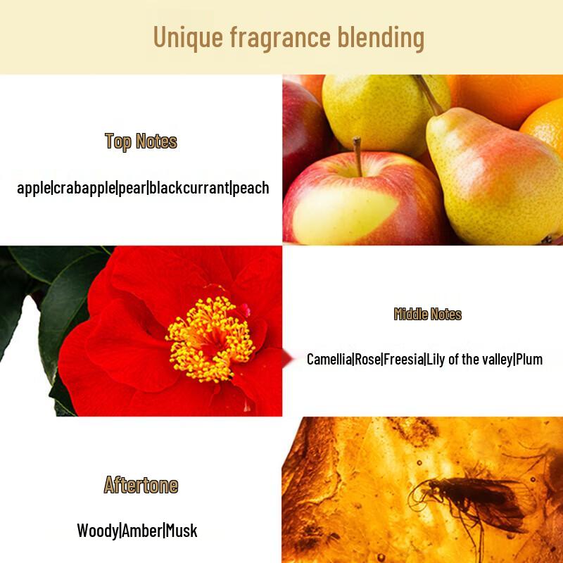 Tsubaki Premium Repair Conditioner