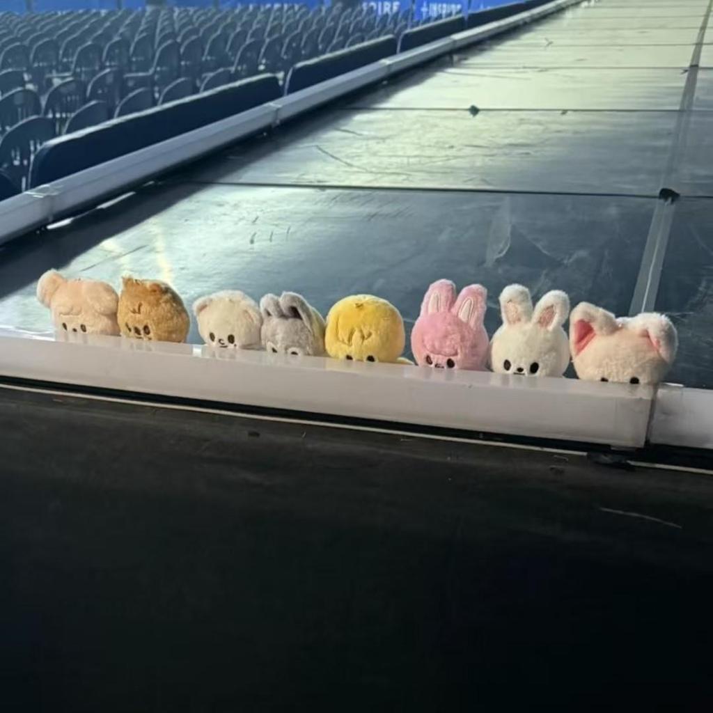 Stray Kids SKZ 5'CLOCK Official Merchandise - SKZOO Plush (10CM Ver.)