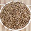 Cassia Seeds Tea Natural Healthy Select Cooked 500g