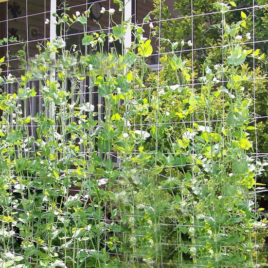 Сетка для скалолазания, высокая эластичность, хорошая сила растяжения, полиэстер, вьющиеся растения, садовая решетка, сетка для улицы