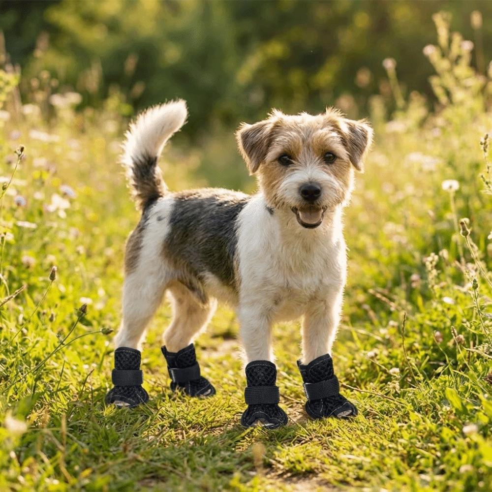 4Pcs/Set Soft Summer Dog Shoes Non-Slip Dog Paw Protector Hollow Puppy Shoes Dogs Accessories