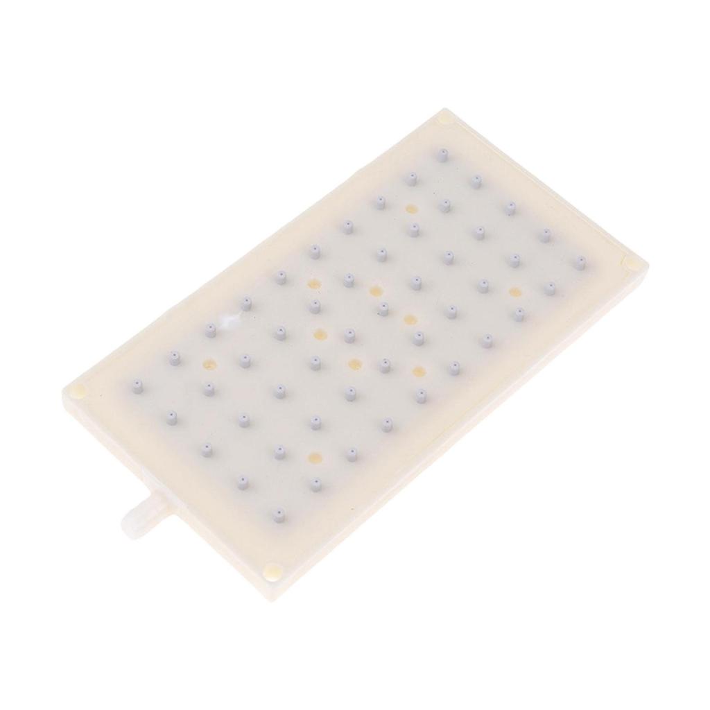 Fixed Replacement with 50 Holes for Household Bathing Showering