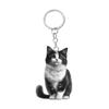 Cat Keychain Double Sided 2D Flat Acrylic Pet Hanging Decoration Lifelike Cat Keyring Accessories for Car Mirror Window Backpacks
