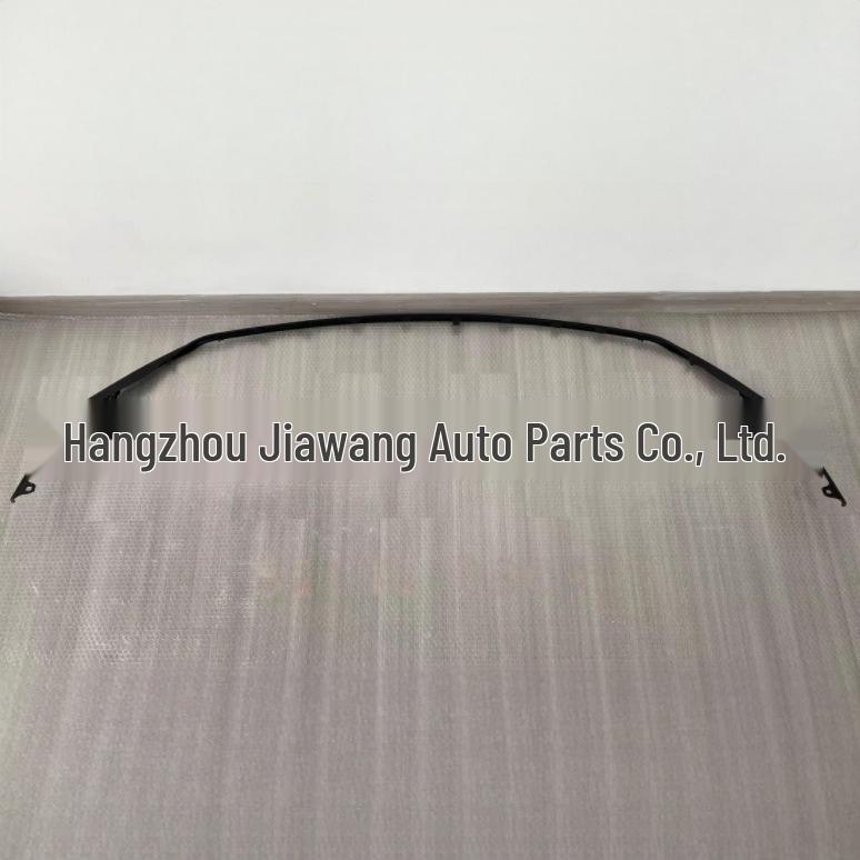 Toyota Sienna 2022 Front Bumper Lower Trim Strip (52112-08040)