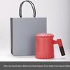 Chaxun Ceramic Tea Mug with Wood Lid & Filter