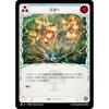 Flesh and Blood JP TER JP 024 Blooming (Japanese Version R Rare) Flesh and Blood First Strike 1st Strike Blitz Deck