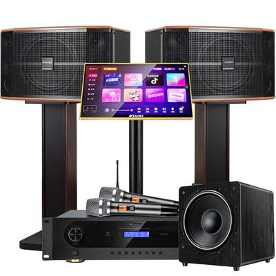 SANSUI FK101 Универсальная KTV Караоке-система Штекер CN (адаптер в комплекте)