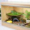 Breathable Reptile Climbing Toys Lightweight Geckos Habitat Reptile Bed Swing  Habitat Decor