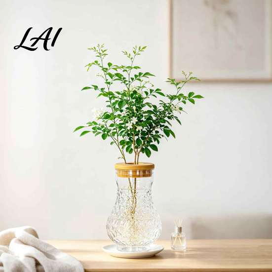 Hydroponic Growing Planter Clear Planter Glass-Like Plastic Vase with Lid Office Desk Accessories Plant Propagation Station for Home Decor