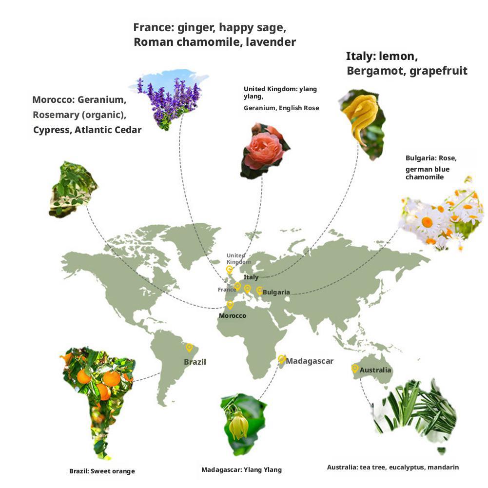 10ml Car Natural Plant Essential Oil for Car Air Freshener Diffuser Humidifier Refill Perfume Flavoring for Car Auto Accessories