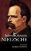 The Introductions To Nietzsche Book