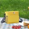 Insulated Cooler Bag Food Carrier Thermal for Beach Hiking Trip
