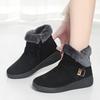 Winter New Fashion Short Suede Round-toe Elevated Flats Casual Side Zipper Comfortable Cold-resistant Warm Women's Boots