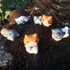 6pcs Garden Decorations Lovely Wonderful Plastic Cartoon Cat Micro Landscape