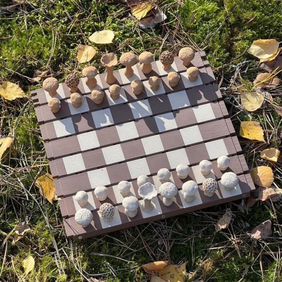 1 набор магнитных лесных грибов, шахматная игра с рулоном, доска для шахмат для детей и взрослых, портативная образовательная дорожная настольная игра-шашка