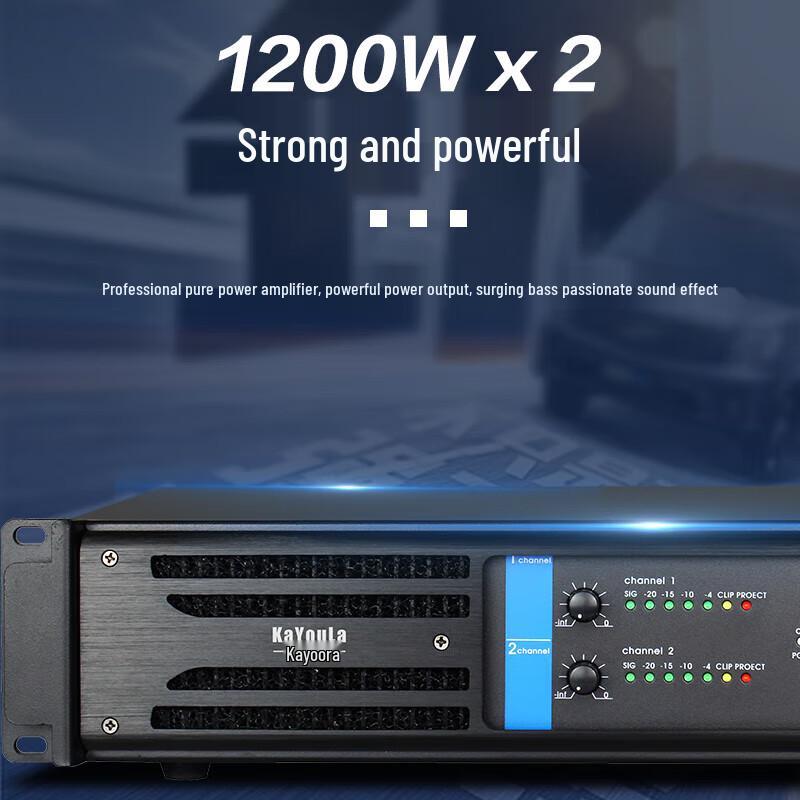 KaYouLa Professional Two-Channel Power Amplifier