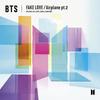 Fake Love Airplane Pt.2 Regular Version