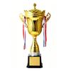 Metal Cup Trophy Cup Multi Size Prize Cup Awards Metal Model Award Cup  School Rewarding