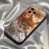 Чехол для телефона с лисами ЖИВОТНЫЕ для iPhone 16,15,14,13,12,11,Pro,Max,Plus,X,XS,SE4,E,Mini,Мягкий черный чехол