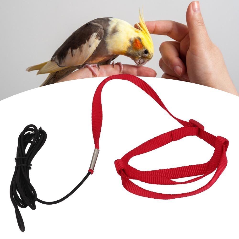 Bite Resistant Bird Training Leash Adjustable Design Pet Harness Leash For Walking