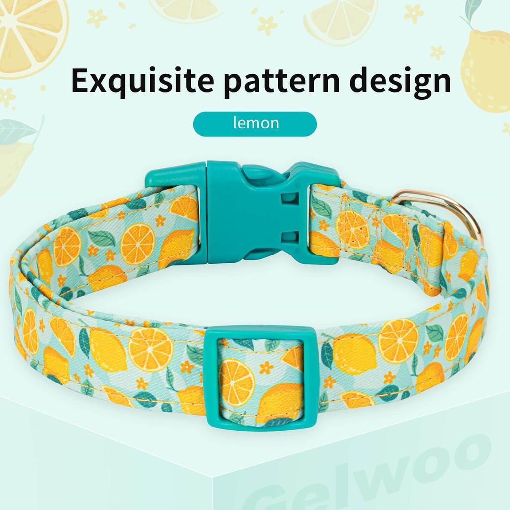 Cute Dog Collar Adjustable and Lightweight for Girl Female Boy Dogs,Soft and Fancy Summer Dog Collar with Lemon Special Design Pet Collar for Small