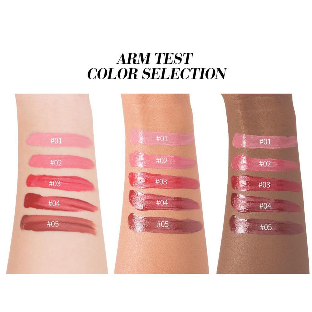 Velvet Lip Gloss Lip Gloss Set Of 5 Long Lasting Velvet Moisturizing Lipstick In Box Elegant Lipstick Set 2.5ML