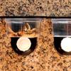Dual Purpose Insect Feeding Dish Plastic Gecko Feeding Ledge Reptile Feeder Bowl  for Snake
