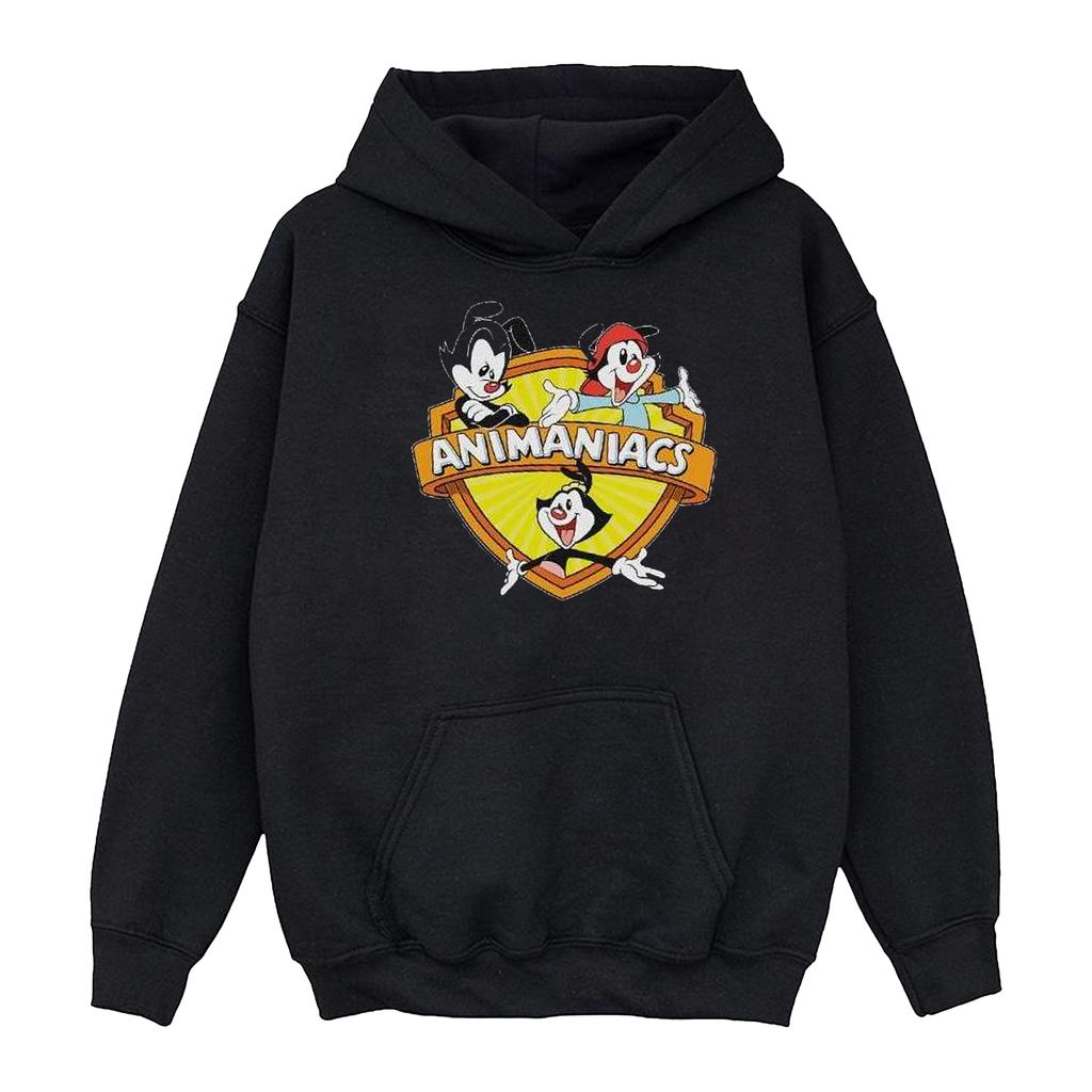 Animaniacs Мужское худи с логотипом