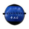 Nize Fitness Medicine Balls