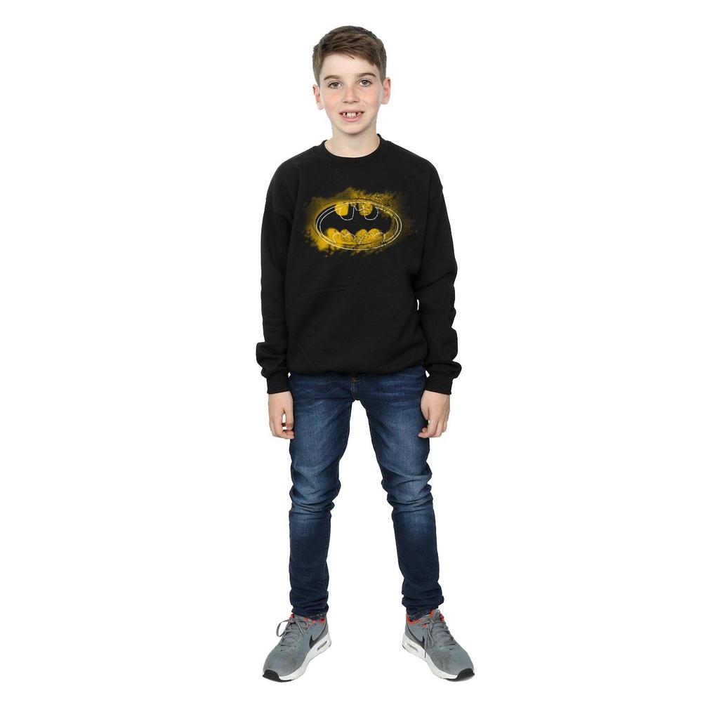 DC Comics Boys Batman Spray Logo Sweatshirt
