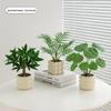 Nordic Small Potted Plant Decor - Indoor Bonsai & Bionic Greenery for Office or Living Room.