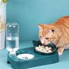 Cat Bowl Double Bowl Protects The Cervical Spine Automatic Drinking Water Anti-overturning Food Bowl Dog Bowl Rice Bowl
