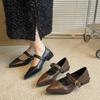 Pointed Single Shoes Women's Spring and Autumn Thick Heel Soft Leather with Mary Jane Shoes 2025 New Versatile Black High Heels