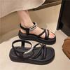 Sandals Women Summer Wear 2025 New Platform Roman Shoes Fairy Style with Skirt Muffin Beach Cool Slippers