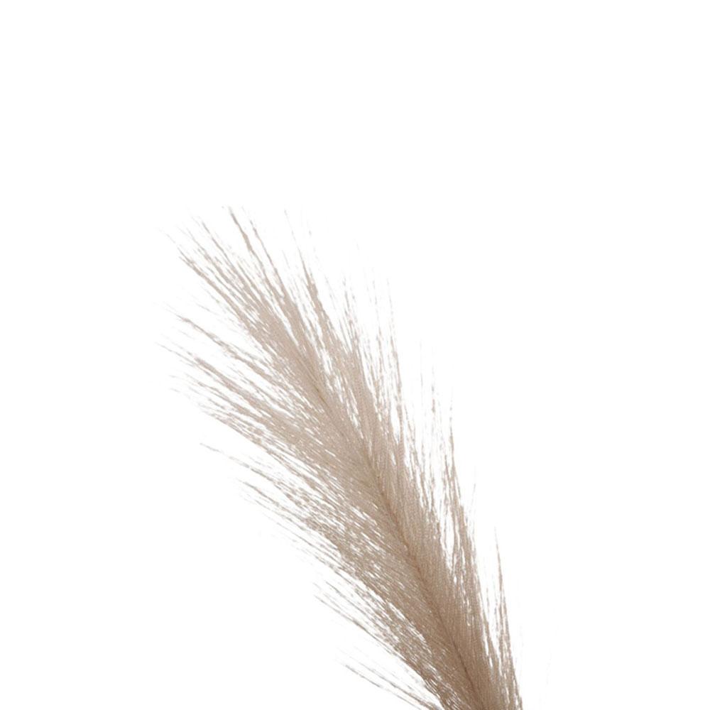 Wedding Decor Plante Living Room Artificial Reed Artificial Flower Fake Flowers Pampas Grass